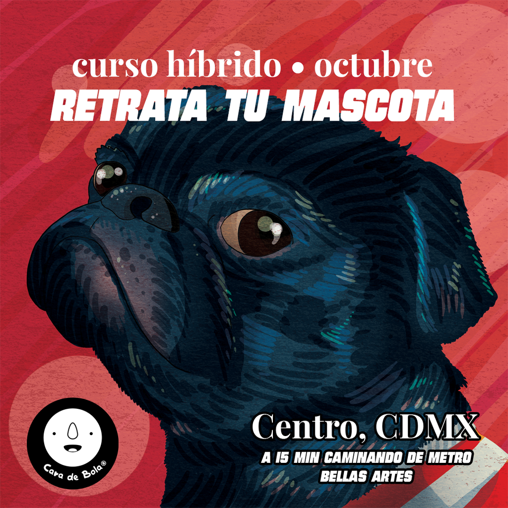 retrato-mascota-cara-de-bola-1